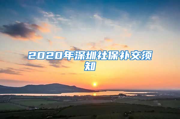 2020年深圳社保补交须知