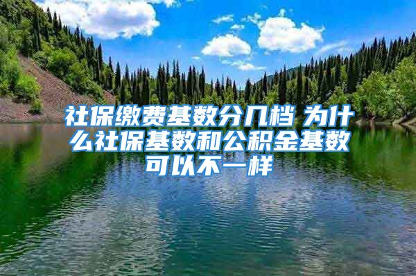 社保缴费基数分几档　为什么社保基数和公积金基数可以不一样