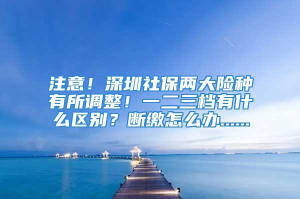 注意！深圳社保两大险种有所调整！一二三档有什么区别？断缴怎么办......