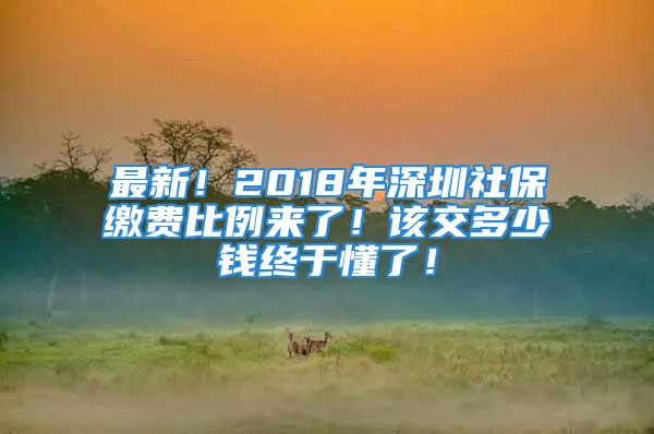 最新！2018年深圳社保缴费比例来了！该交多少钱终于懂了！