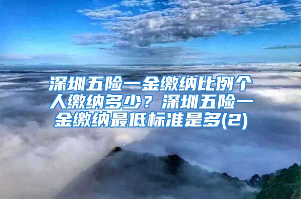 深圳五险一金缴纳比例个人缴纳多少？深圳五险一金缴纳最低标准是多(2)