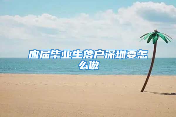 应届毕业生落户深圳要怎么做