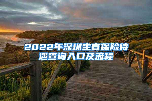 2022年深圳生育保险待遇查询入口及流程