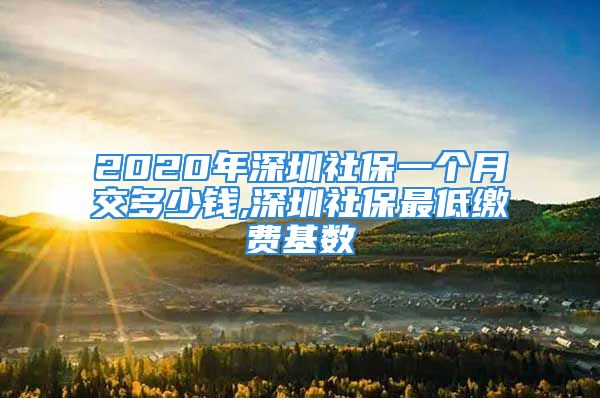 2020年深圳社保一个月交多少钱,深圳社保最低缴费基数