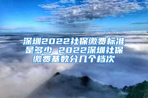 深圳2022社保缴费标准是多少 2022深圳社保缴费基数分几个档次