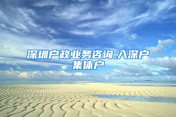 深圳户政业务咨询,入深户集体户