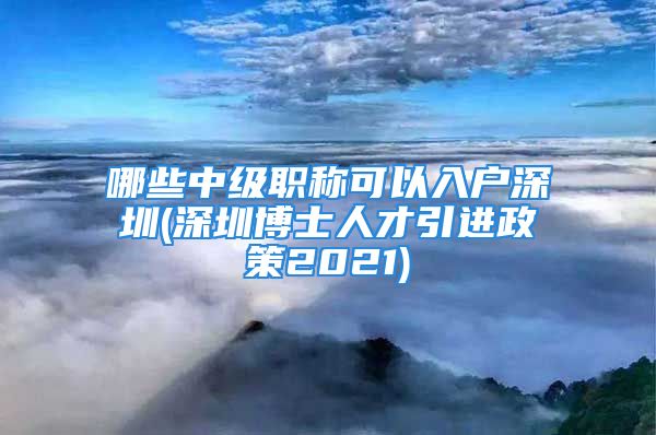 哪些中级职称可以入户深圳(深圳博士人才引进政策2021)