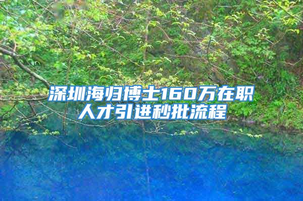 深圳海归博士160万在职人才引进秒批流程