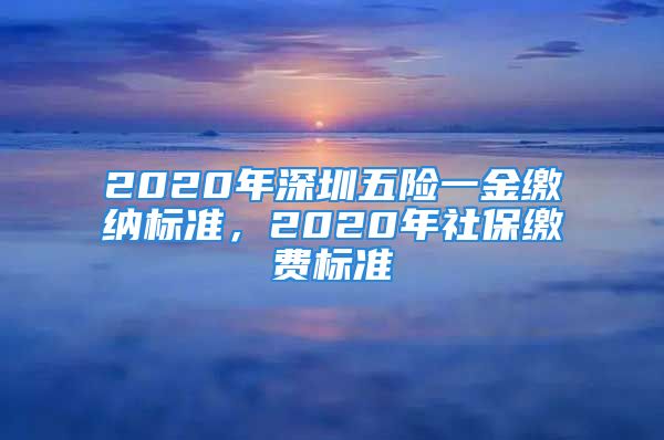 2020年深圳五险一金缴纳标准，2020年社保缴费标准