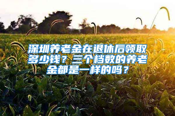 深圳养老金在退休后领取多少钱？三个档数的养老金都是一样的吗？