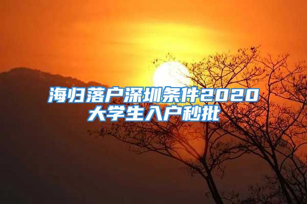 海归落户深圳条件2020大学生入户秒批