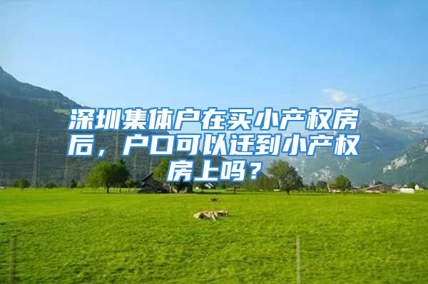 深圳集体户在买小产权房后，户口可以迁到小产权房上吗？