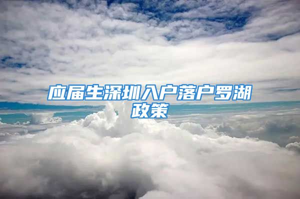 应届生深圳入户落户罗湖政策