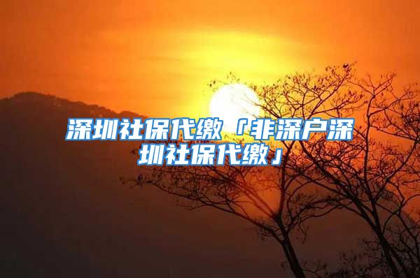 深圳社保代缴「非深户深圳社保代缴」