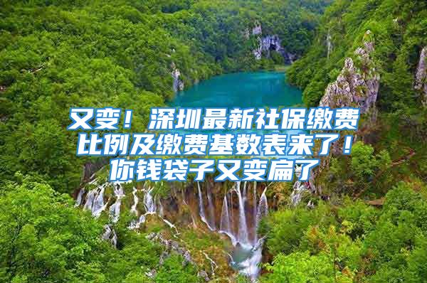 又变！深圳最新社保缴费比例及缴费基数表来了！你钱袋子又变扁了