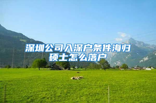 深圳公司入深户条件海归硕士怎么落户