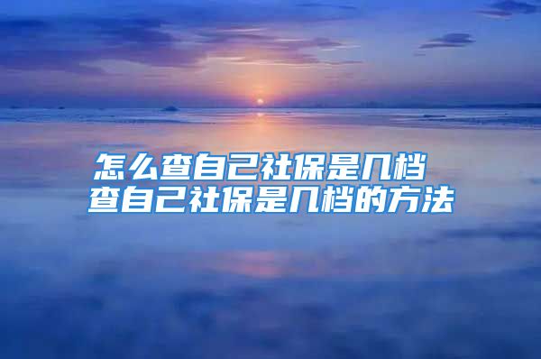 怎么查自己社保是几档 查自己社保是几档的方法