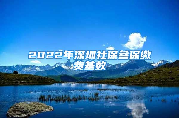 2022年深圳社保参保缴费基数