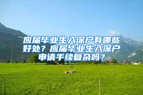 应届毕业生入深户有哪些好处？应届毕业生入深户申请手续复杂吗？