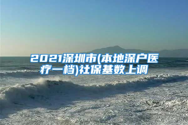 2021深圳市(本地深户医疗一档)社保基数上调