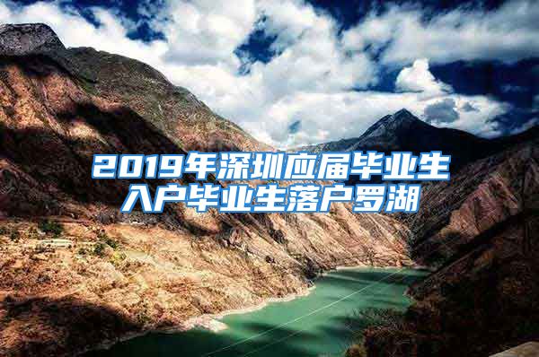 2019年深圳应届毕业生入户毕业生落户罗湖