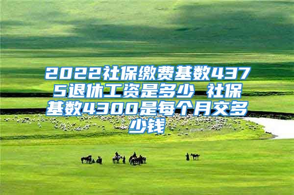 2022社保缴费基数4375退休工资是多少 社保基数4300是每个月交多少钱