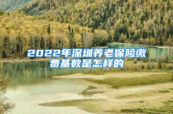 2022年深圳养老保险缴费基数是怎样的