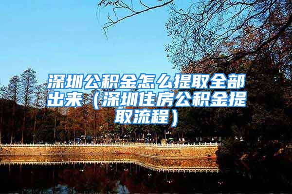 深圳公积金怎么提取全部出来（深圳住房公积金提取流程）