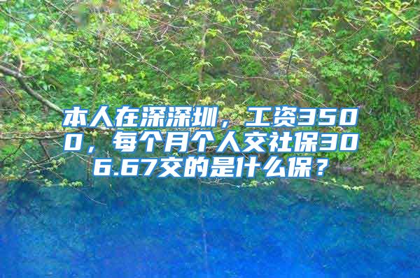 本人在深深圳，工资3500，每个月个人交社保306.67交的是什么保？