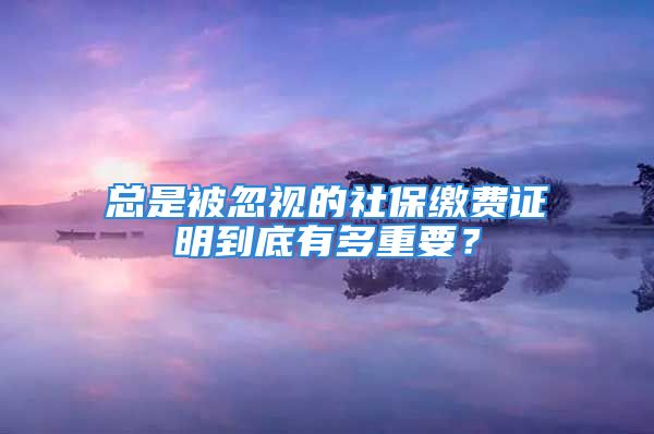 总是被忽视的社保缴费证明到底有多重要？