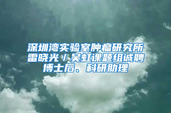 深圳湾实验室肿瘤研究所雷晓光／吴虹课题组诚聘博士后、科研助理