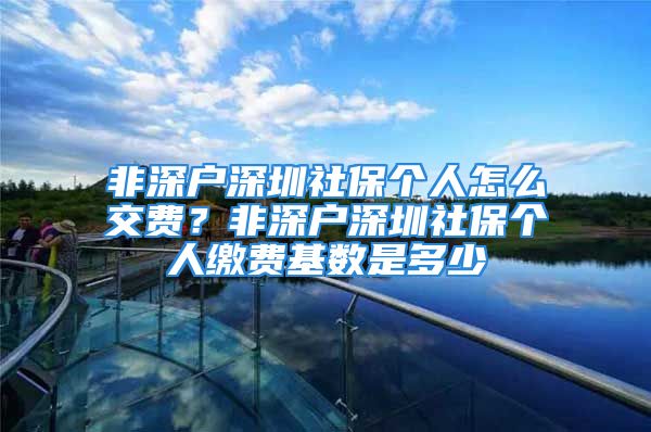 非深户深圳社保个人怎么交费？非深户深圳社保个人缴费基数是多少