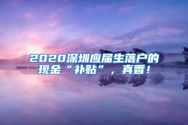 2020深圳应届生落户的现金“补贴”，真香！