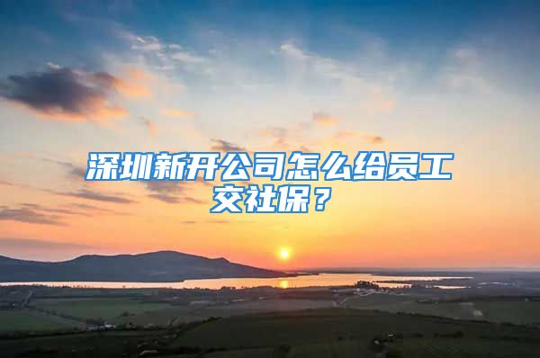 深圳新开公司怎么给员工交社保？