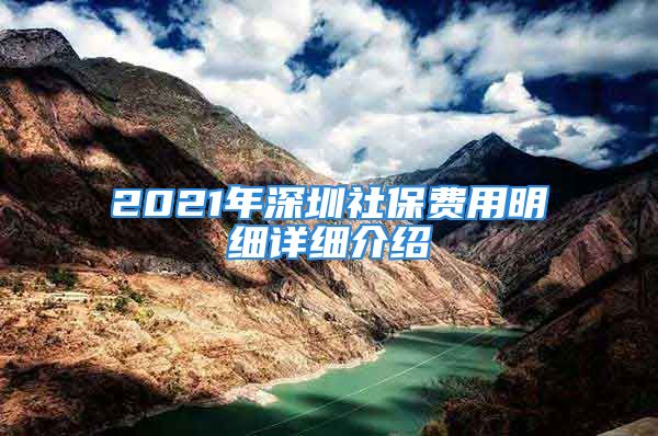 2021年深圳社保费用明细详细介绍