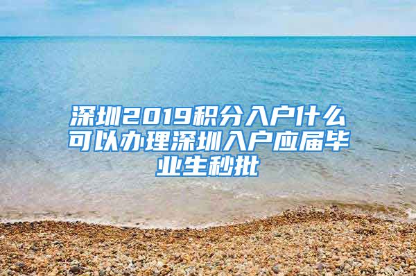 深圳2019积分入户什么可以办理深圳入户应届毕业生秒批