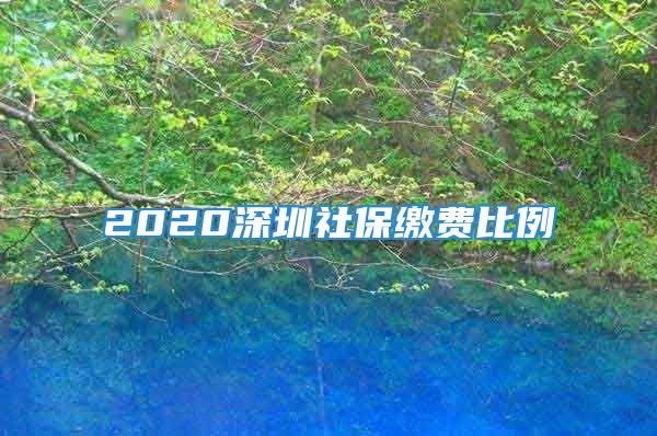 2020深圳社保缴费比例