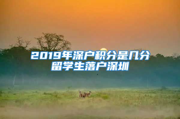 2019年深户积分是几分留学生落户深圳