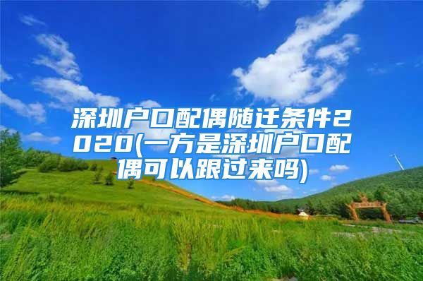 深圳户口配偶随迁条件2020(一方是深圳户口配偶可以跟过来吗)