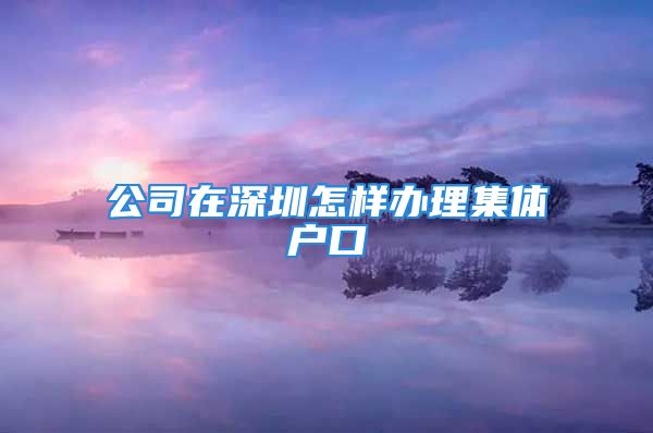 公司在深圳怎样办理集体户口