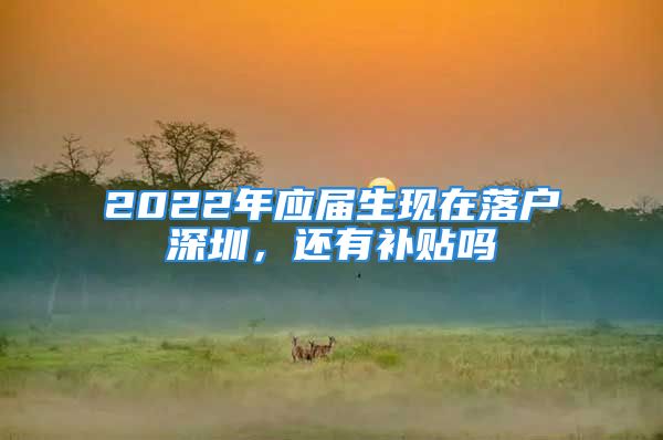 2022年应届生现在落户深圳，还有补贴吗