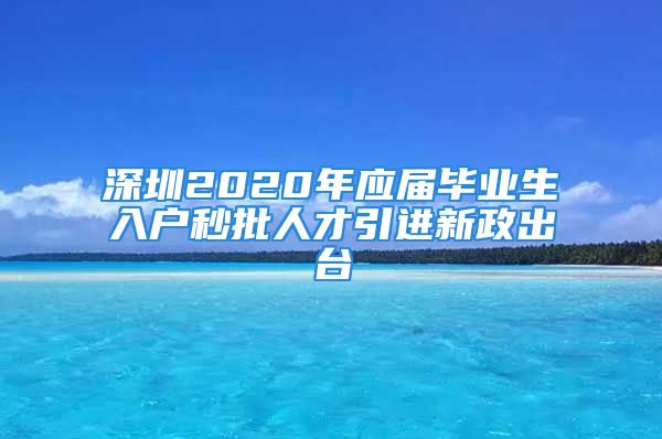 深圳2020年应届毕业生入户秒批人才引进新政出台