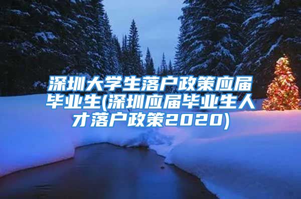 深圳大学生落户政策应届毕业生(深圳应届毕业生人才落户政策2020)