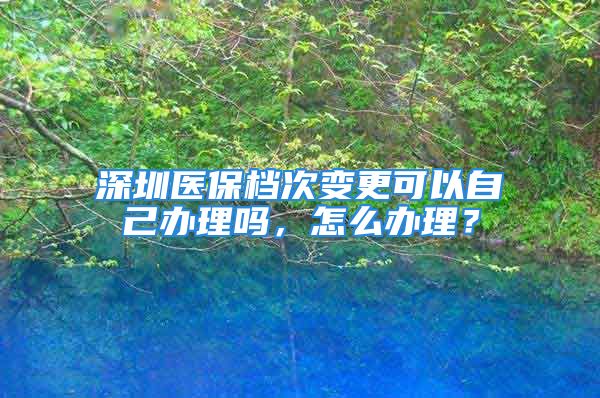 深圳医保档次变更可以自己办理吗，怎么办理？