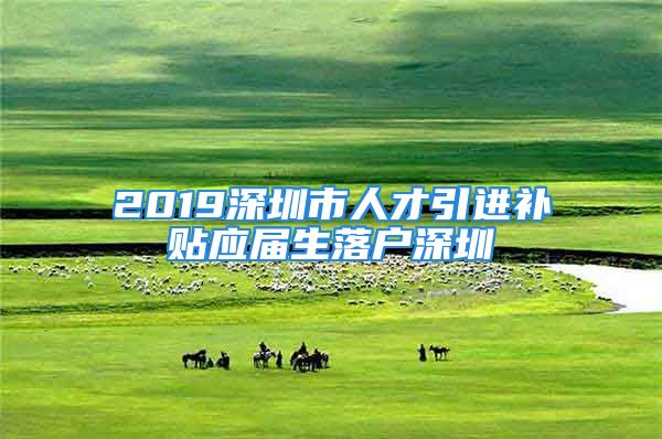 2019深圳市人才引进补贴应届生落户深圳