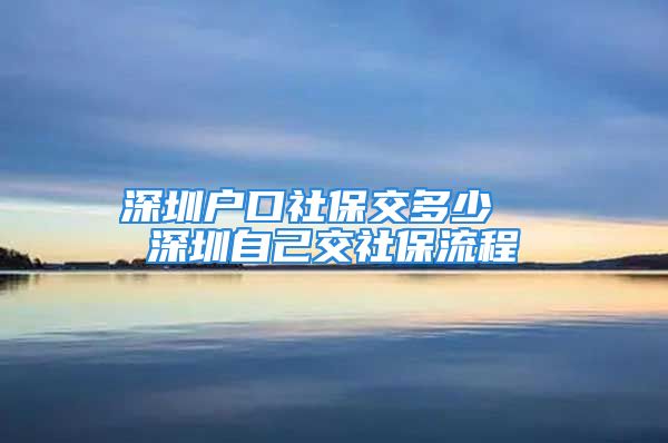 深圳户口社保交多少  深圳自己交社保流程