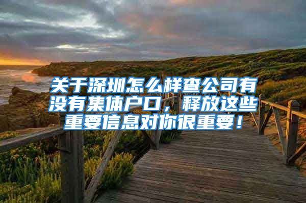 关于深圳怎么样查公司有没有集体户口，释放这些重要信息对你很重要！