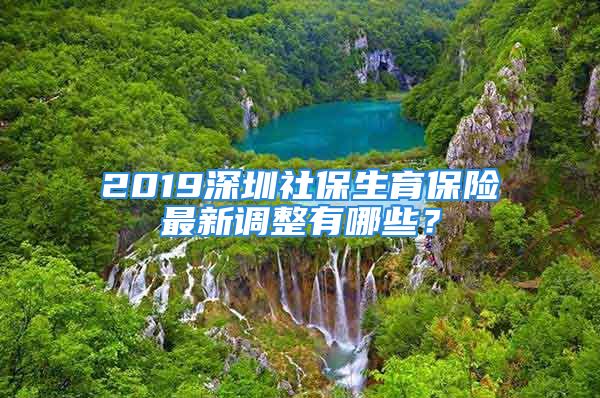 2019深圳社保生育保险最新调整有哪些？