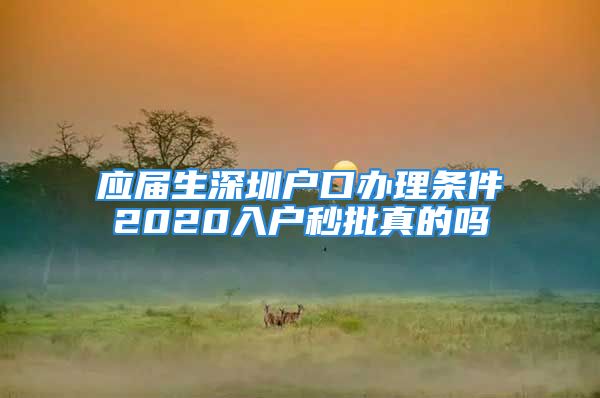 应届生深圳户口办理条件2020入户秒批真的吗