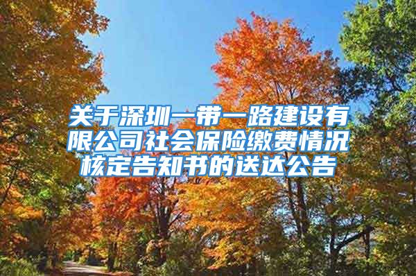 关于深圳一带一路建设有限公司社会保险缴费情况核定告知书的送达公告